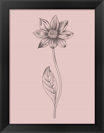 Framed Dahlia Blush Pink Flower Print