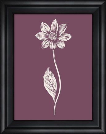Framed Dahlia Purple Flower Print