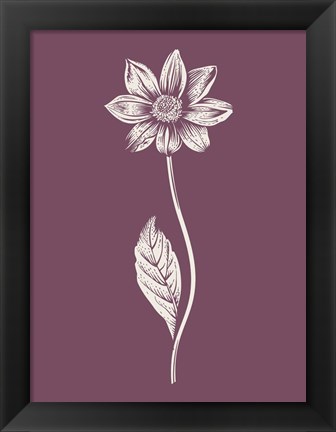 Framed Dahlia Purple Flower Print