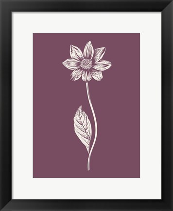 Framed Dahlia Purple Flower Print