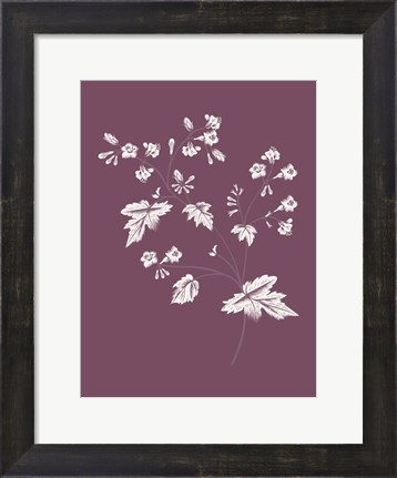 Framed Phacelia Purple Flower Print