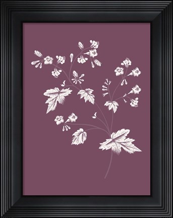 Framed Phacelia Purple Flower Print