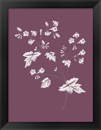 Framed Phacelia Purple Flower Print