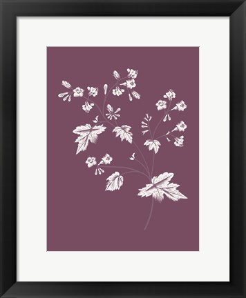 Framed Phacelia Purple Flower Print