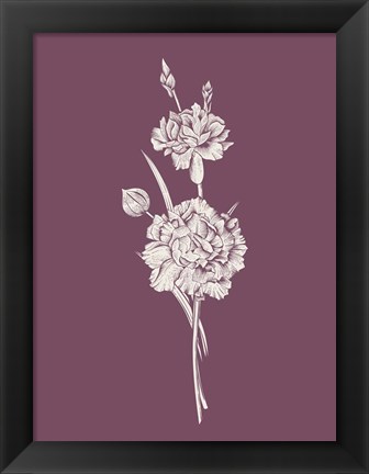 Framed Carnation Purple Flower Print