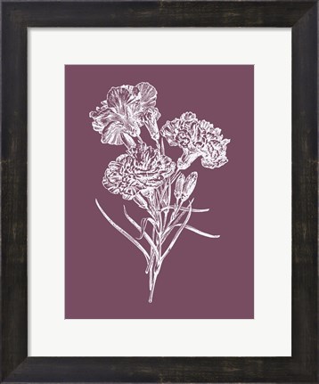 Framed Carnations Purple Flower Print