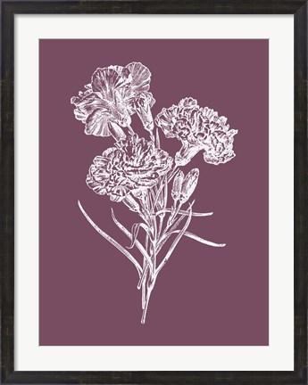 Framed Carnations Purple Flower Print