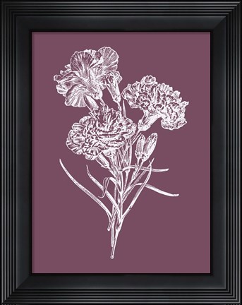 Framed Carnations Purple Flower Print