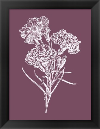 Framed Carnations Purple Flower Print