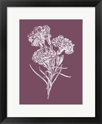 Framed Carnations Purple Flower Print