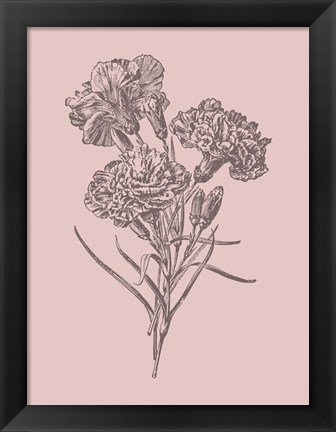 Framed Carnations Bush Pink Flower Print