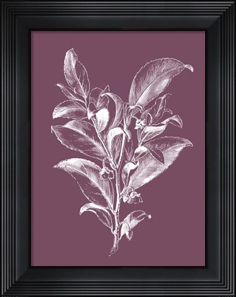 Framed Visnea Mocanera Purple Flower Print