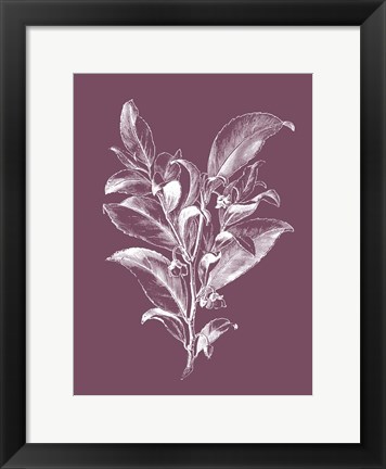 Framed Visnea Mocanera Purple Flower Print