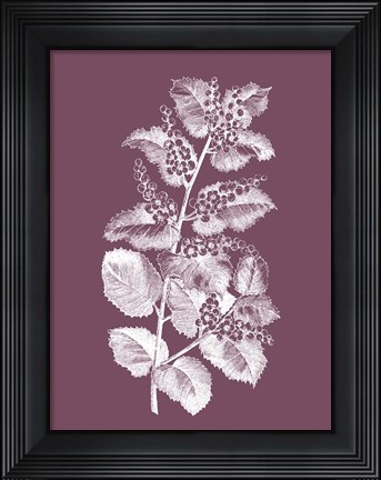 Framed Cerasus Purple Flower Print
