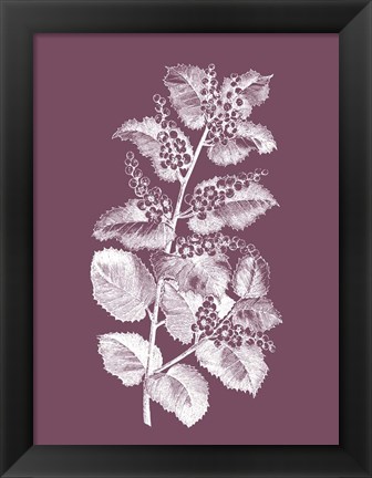 Framed Cerasus Purple Flower Print