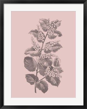 Framed Cerasus Blush Pink Flower Print