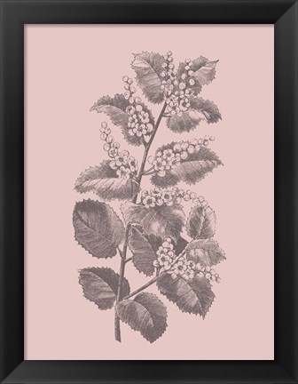 Framed Cerasus Blush Pink Flower Print