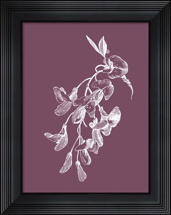 Framed Inflorescence Purple Flower Print