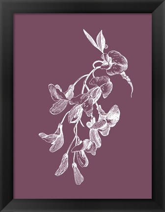 Framed Inflorescence Purple Flower Print