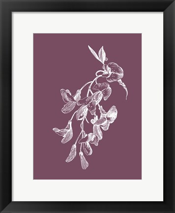 Framed Inflorescence Purple Flower Print