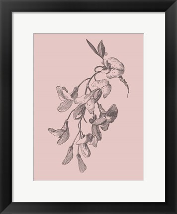 Framed Inflorescence Blush Pink Flower Print