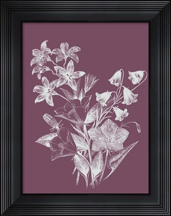 Framed Campanulas Purple Flower Print