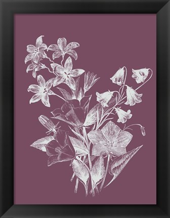 Framed Campanulas Purple Flower Print