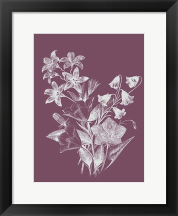 Framed Campanulas Purple Flower Print