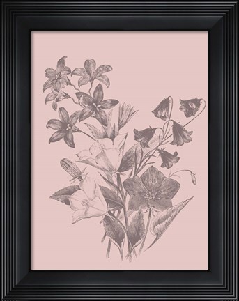 Framed Campanulas Blush Pink Flower Print
