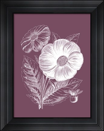 Framed Single Dahlias Purple Flower Print