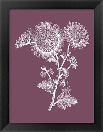 Framed Small Anemone Purple Flower Print