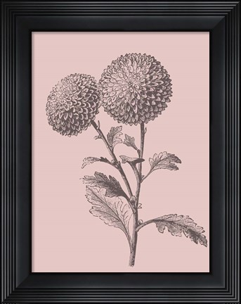 Framed Quilled Pompone Blush Pink Flower Print