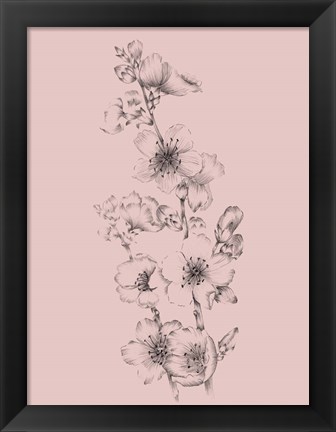 Framed Blush Pink Flower Drawing I Print