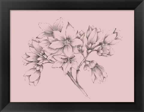 Framed Blush Pink Flower Illustration Print