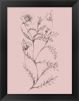 Framed Blush Pink Flower Illustration I Print