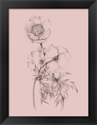 Framed Blush Pink Flower Illustration III Print