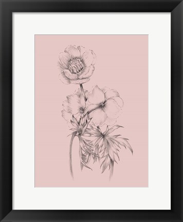 Framed Blush Pink Flower Illustration III Print