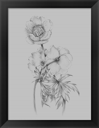 Framed Flower Illustration II Print