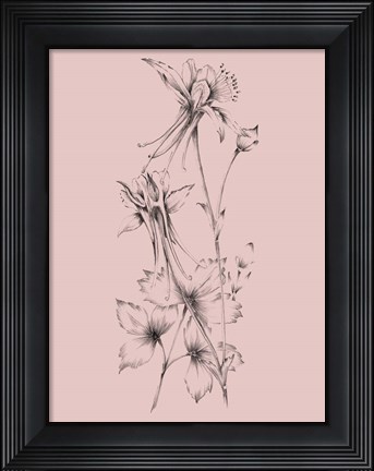 Framed Blush Pink Flower Print