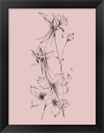 Framed Blush Pink Flower Print