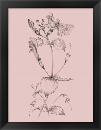 Framed Blush Pink Flower I Print