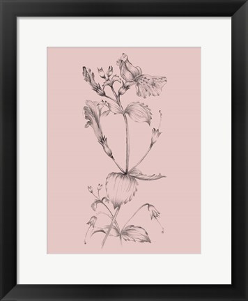 Framed Blush Pink Flower I Print