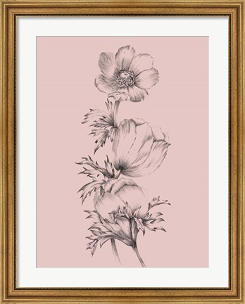Framed Blush Pink Flower II Print