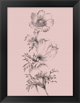 Framed Blush Pink Flower II Print