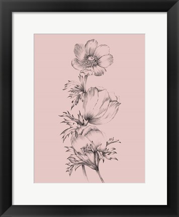 Framed Blush Pink Flower II Print