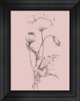Framed Blush Pink Flower III Print