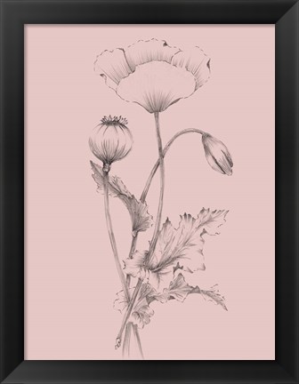 Framed Blush Pink Flower III Print