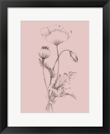 Framed Blush Pink Flower III Print