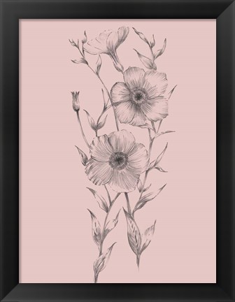 Framed Pink Flower Sketch Illustration I Print