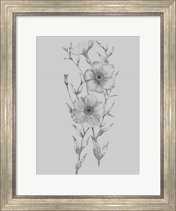 Framed Grey Flower Sketch Illustration I Print